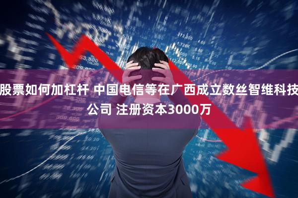 股票如何加杠杆 中国电信等在广西成立数丝智维科技公司 注册资本3000万
